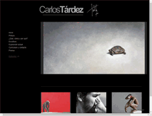 Tablet Screenshot of carlostardez.com